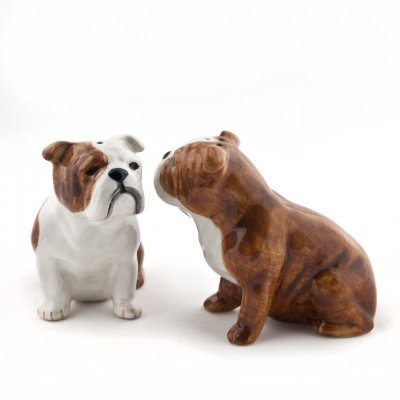 Engelsk bulldogg salt & pepparkar x
