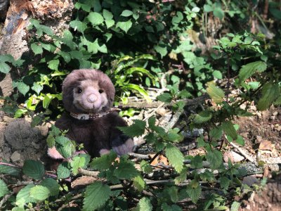 FÖRBESTÄLL! Mullvad mjukisdjur 39 cm Burrows Charlie Bears