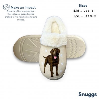 Labrador retriever (brun) tofflor ES