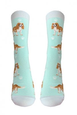 Cavalier king charles spaniel strumpor 1-pack ES