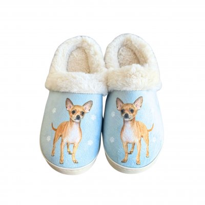 Chihuahua tofflor ES