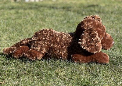 Chesapeake bay retriever mjukisdjur två varianter