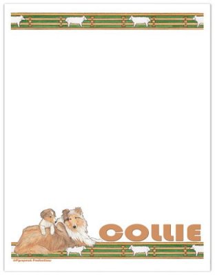 Collie- brevpapper large