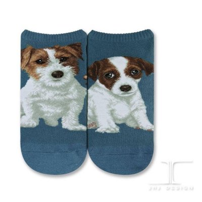Jack russell strumpor