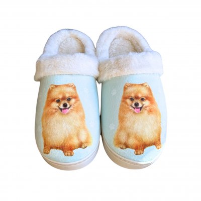 Pomeranian tofflor ES