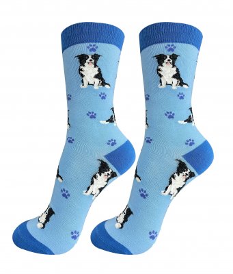 Border collie strumpor
