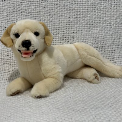 Labrador mjukisdjur
