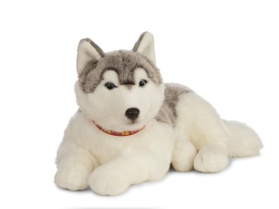 Siberian husky mjukisdjur Giant LN u
