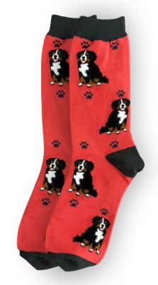 Berner sennenhund strumpor 1-pack ES
