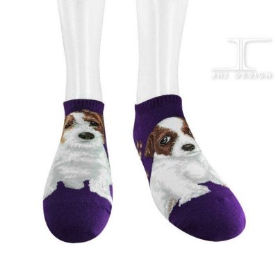 Jack russell terrier ankelstrumpor Masterpiece JHJ 2