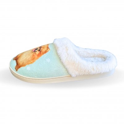 Pomeranian tofflor ES