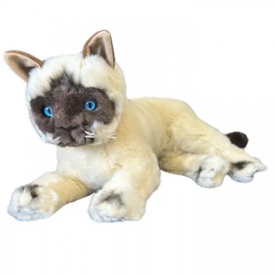 Burmakatt gosedjur
