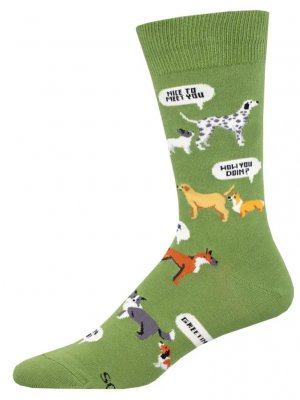 Hund strumpor 1-pack strl 40-46 olika färger SockSmith 1
