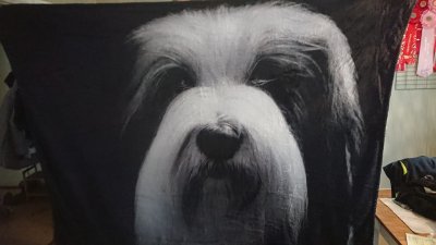 Fleecefilt 120 x 150 cm efter eget foto