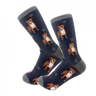 American staffordshire terrier strumpor 1-pack ES 2