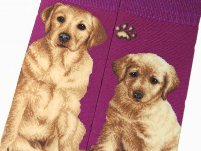 Labrador retriever (gul) strumpor Masterpiece JHJ
