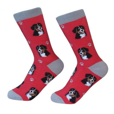 Berner sennenhund strumpor 1-pack ES 2