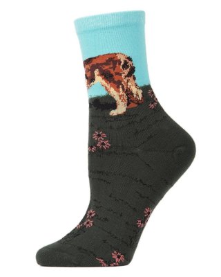 Sankt bernhardshund strumpor Limited edition Art IC