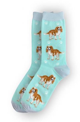 Cavalier king charles spaniel strumpor 1-pack ES