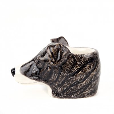 Greyhound äggkopp (ansikte)