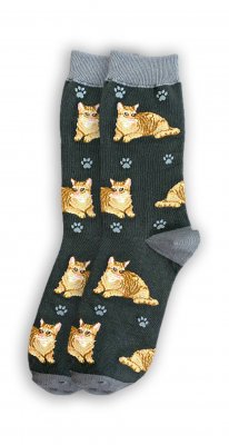 Katt strumpor orange tabby 1-pack ES 1