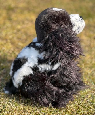 Cocker spaniel- mjukisdjur FÖRBESTÄLL! 30 cm Faithful Friends 2