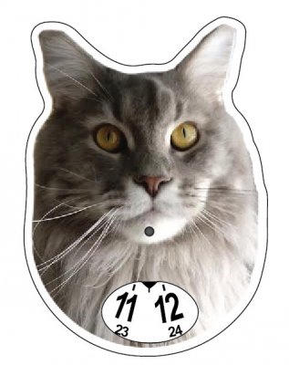 Katt maine coon P-skiva 2