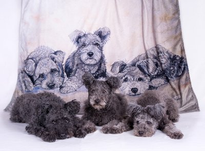 Fleecefilt pumi Yvonne