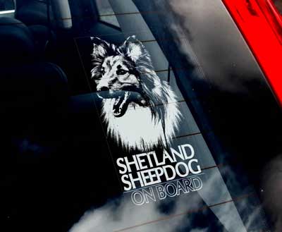 Shetland sheepdog bildekal - on board