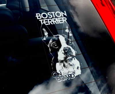 Bostonterrier bildekal - on board