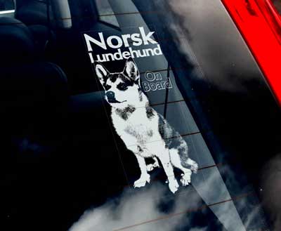 Norsk lundehund bildekal - on board