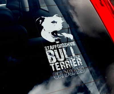 Staffordshire bullterrier bildekal - on board