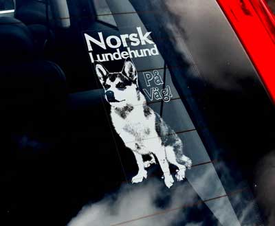 Norsk lundehund bildekal - on board (på väg)