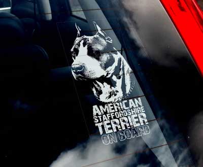 American staffordshire terrier bildekal - on board