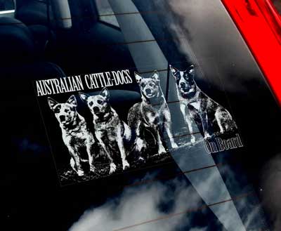 Australian cattledog (flera) bildekal
- on board