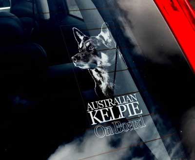 Australian kelpie bildekal - On Board