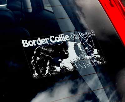 Border collie (vallande) bildekal - on board