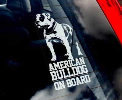 American bulldog bildekal - on board