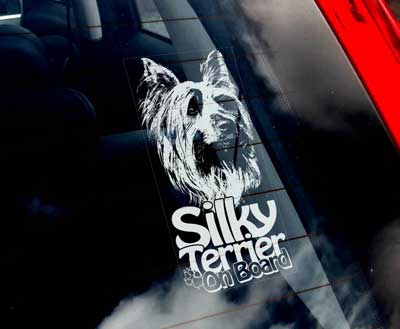 Silky terrier bildekal - on board