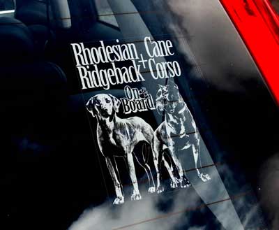 Rhodesian ridgeback / Cane corso bildekal - on board