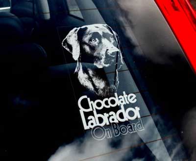 Labrador retriever (brun) bildekal - on board