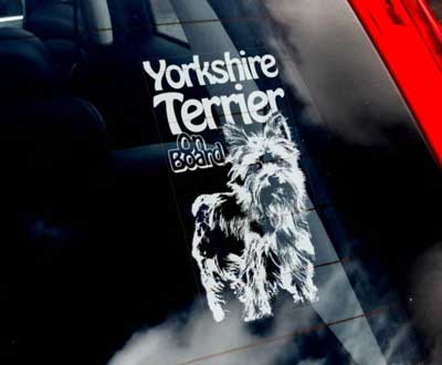 Yorkshireterrier bildekal 2 - on board