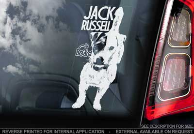 Jack russell terrier bildekal 3 - on board
