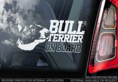 Bullterrier bildekal 3 - on board