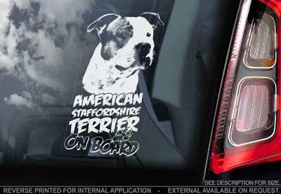 American staffordshire terrier bildekal V6 - on board