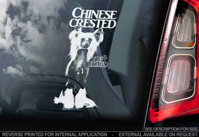 Chinese crested dog bildekal V2 - on board