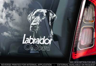 Labrador retriever (svart) bildekal V9 - on board