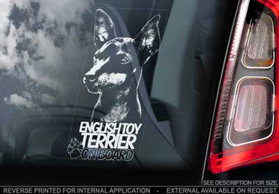 English toy terrier bildekal - on board