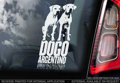 Dogo argentino bildekal V4 - on board