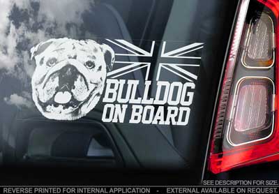 Engelsk bulldogg bildekal V3 - on board